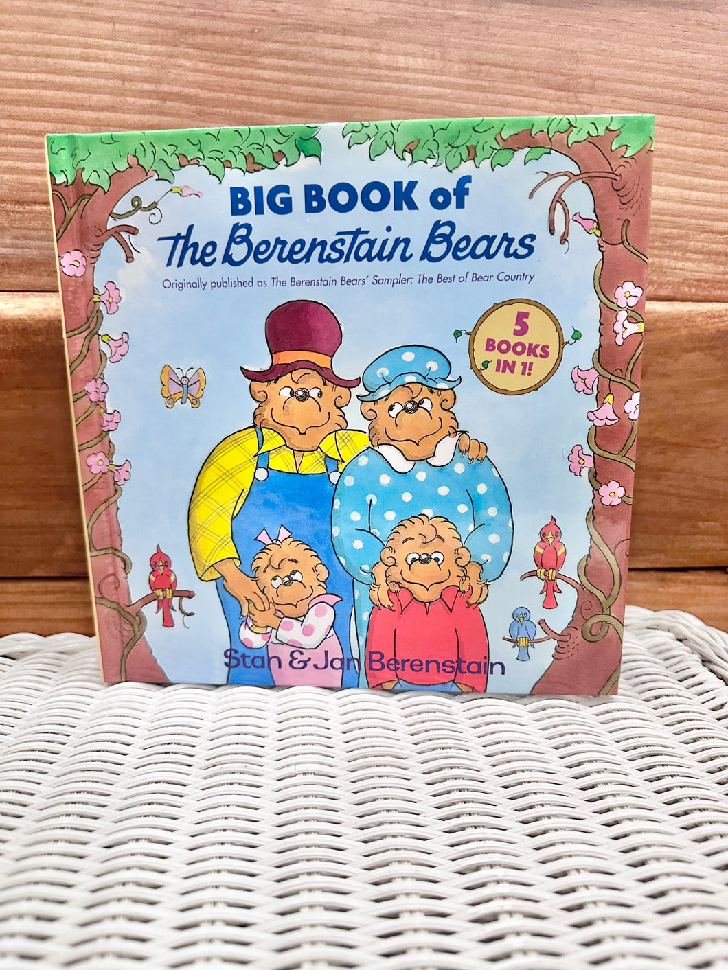 The Big Book of The Berenstain Bears Book