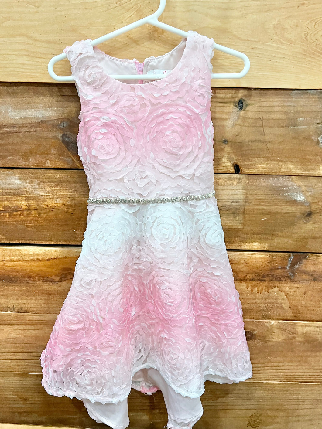 Biscotti Pink Flower Dress Size 6