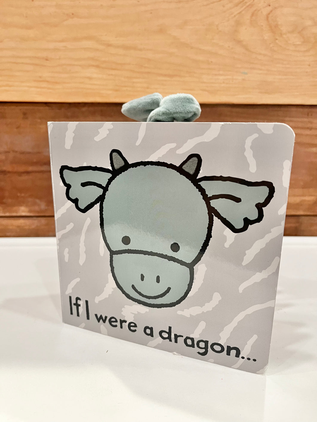 If I Were A Dragon Book