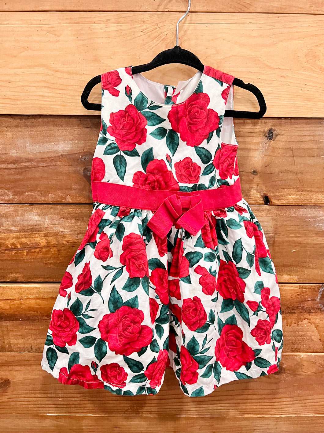 Carters Roses Dress Size 18m
