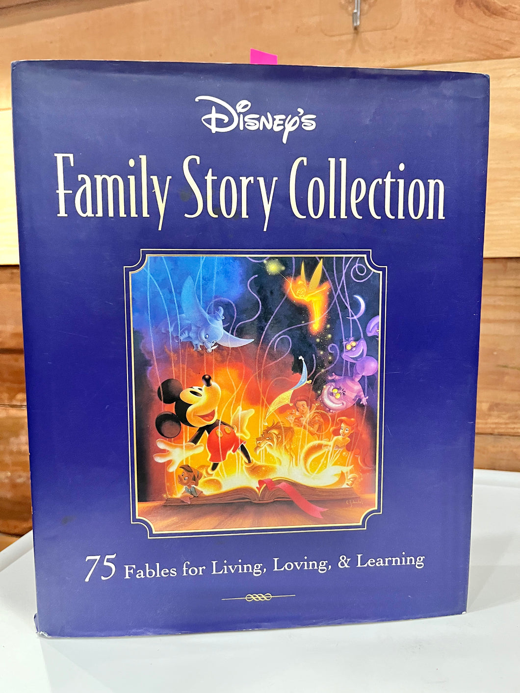 Disney Family Story Collection Book